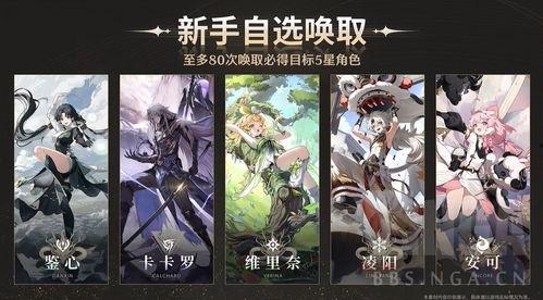 鸣潮最新爆料自选五星,自选五星角色，揭秘游戏世界神秘力量